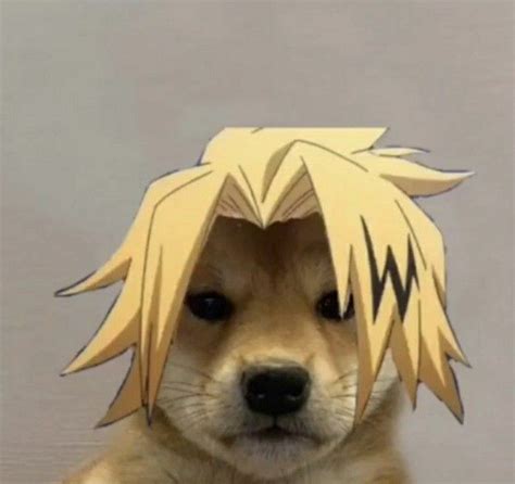 𓏲♡̶ Tꪮtꪮ᥅ꪮ 𓂅᮫᜔ִׂ ᵕ̈ Anime Puppy Dog Icon Anime Meme Face