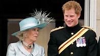 Camilla, moglie del principe Carlo nasconde dei segreti: potrebbe ...