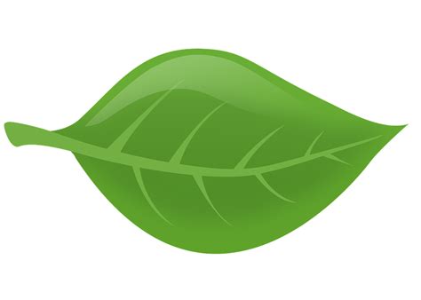Download Leaf Nature Green Leaves Royalty Free Stock Illustration Image