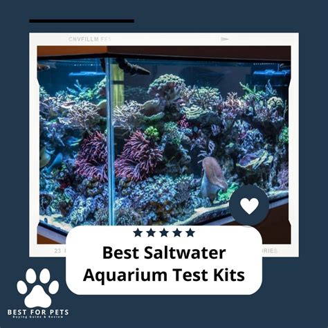 The 7 Best Saltwater Aquarium Test Kits
