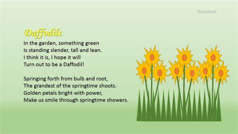 Daffodil Poem And Resources Teaching Resources