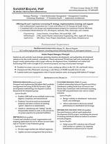 Pictures of It Management Resume Samples