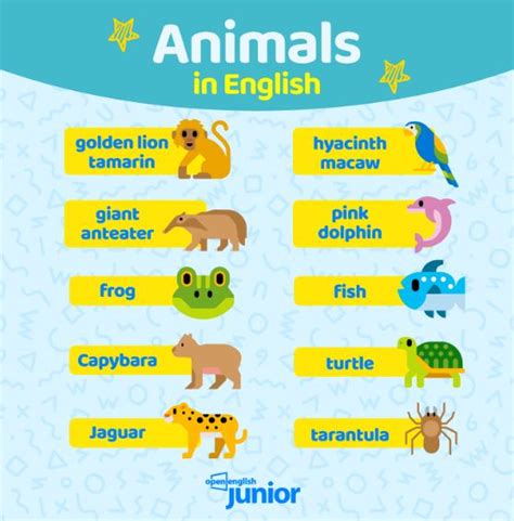 110 Animales En Inglés Y Español Open English Junior