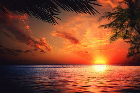 Wonderful Sunset Painting By Driss Boulzam Pixels