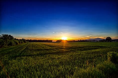 Green Grass Field Under Blue Sky Hd Wallpaper Wallpaper Flare