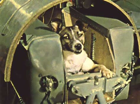 The first animal in space. Animals in Space