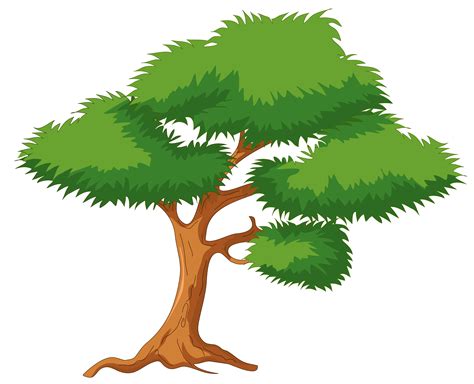 png tree clipart - Clipground