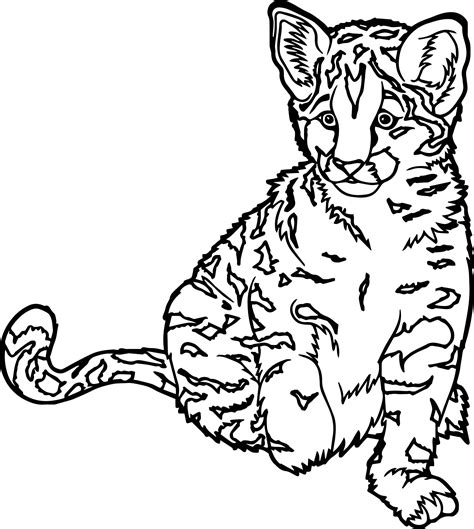 Realistic Cat Coloring Pages At Free Printable Colorings Pages To Print And Color