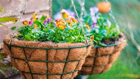 Make Your Own Hanging Basket Hanging Baskets Plants For Hanging