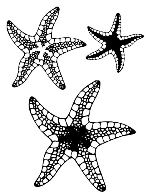 Cute Star Fish Coloring Pages