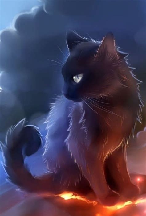 Black Cat By Apofiss Black Cat Anime Black Cat Art Dark Anime Anime
