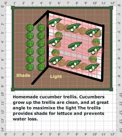 No tools are required—just bailing twine and two posts—and you can even plant another row of crops like lettuce and radishes underneath the pallet. Garden Plan - 2015: cucumber trellis | Cucumber trellis ...