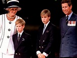 Duques de Cambridge & Sussex: Sua Alteza Real o Príncipe William de ...