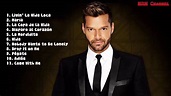 Best song of Ricky Martin - YouTube