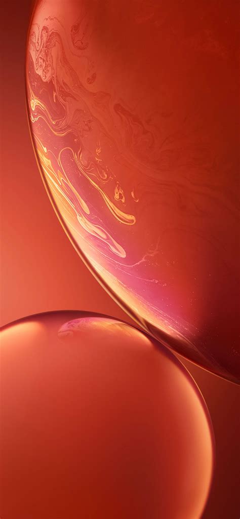 50 Best High Quality Iphone Xr Wallpapers And Backgrounds