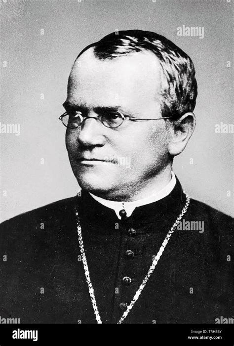 Gregor Mendel 1822 1884 Austrian Augustinian Friar And Geneticist