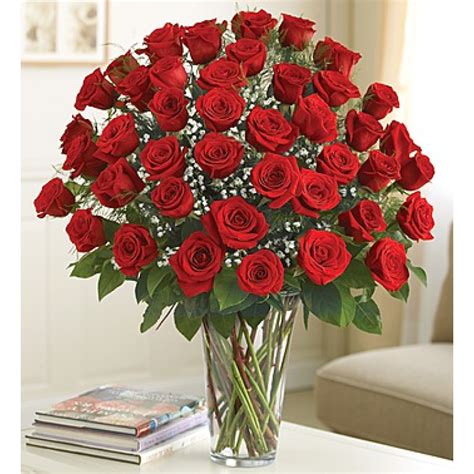Anniversary 48 Red Roses Arranged With Babies Breath 1 Florist In