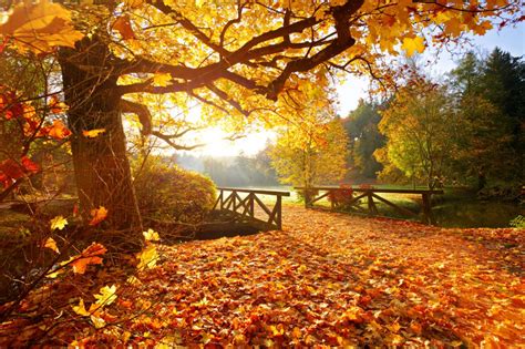 11 Dokazov Da Je Jesen Res čudovita Mična