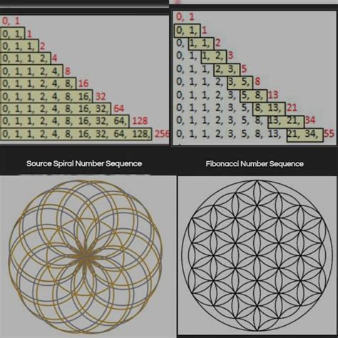 Flower Of Eternal Life Versus Flower Of Life