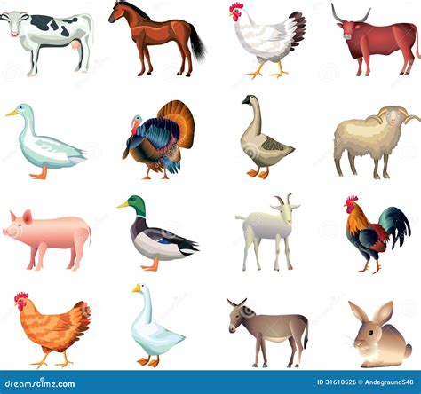 Farm Animals Photo Realistic Set Stock Vector Illustration 31610526