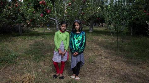 Photos Struggle Of Kashmiri Women Amid Lockdown Hindustan Times