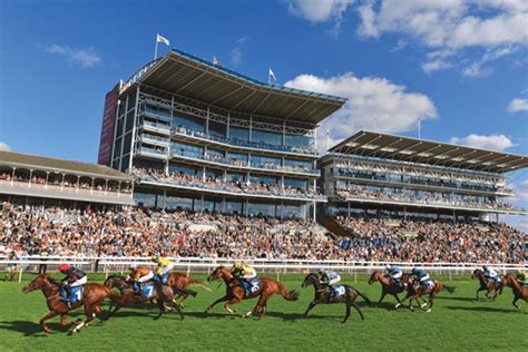 Newmarket Races The Ultimate Guide What You Need To Know Stubfindr
