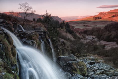 Loup Of Fintry David Cameron Flickr