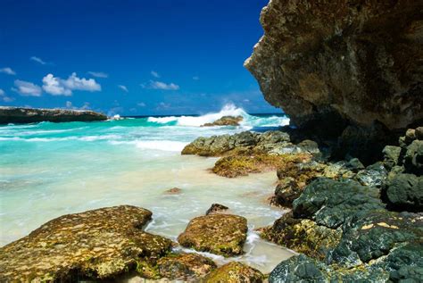 15 Best Beaches In Aruba The Crazy Tourist
