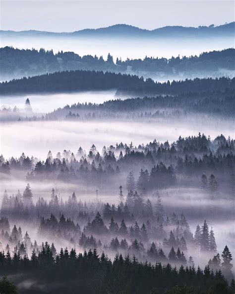 Kilian Schönberger On Instagram Home Is Where The Fog Grows A