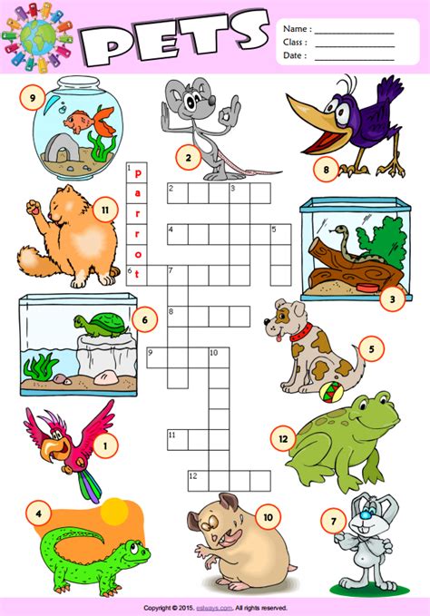 Pets Esl Vocabulary Crossword Puzzle Worksheet For Kids