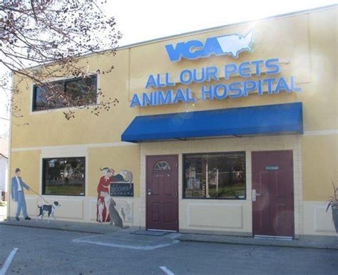 Our Hospital Vca All Our Pets Animal Hospital