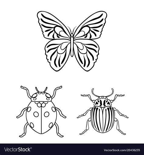 Different Kinds Of Insects Outline Icons In Set Vector Image