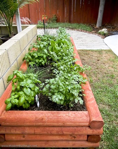 10 Herb Garden Ideas For Your Home Find An Herb Garden For Every Space
