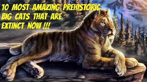 10 Most Amazing Prehistoric Big Cats That Are Extinct Now Big