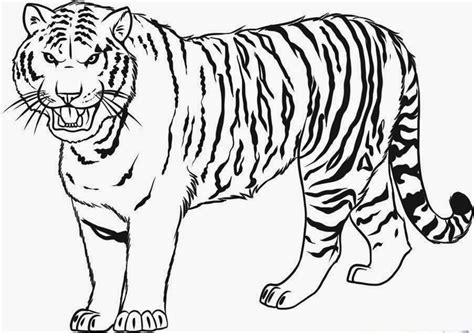 You can print this coloring page and fill in the proper color details in this illustration of a tiger face. Tiger Coloring Pages For Kids - NEO Coloring