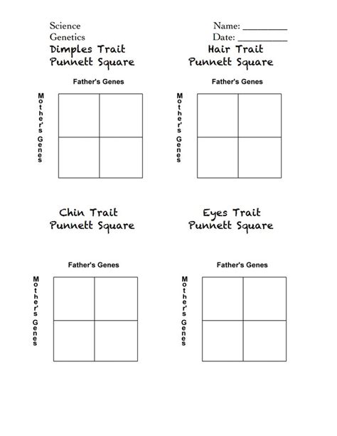 Inheritance activities genetics terminology and punnett squares from punnett square practice worksheet with answers, source. Celebrity Punnett Squares handout.pdf | Punnett squares ...