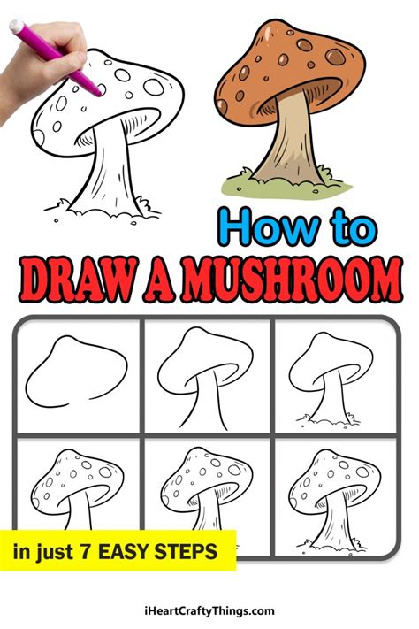 Mushroom Drawing How To Draw A Mushroom Step By Step