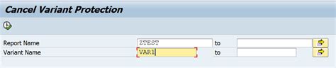 Sap Abap Central Selection Screen Variants Part I