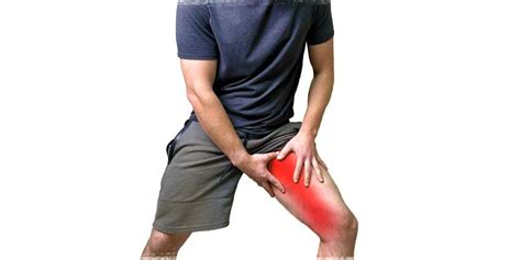 Adductor Strain Physiotherapy Treatment Physio Pattern Manchester