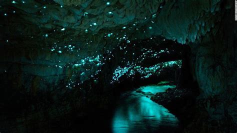 Waitomo Caves Where To Find Glowworms In Real Life Glowworm Caves