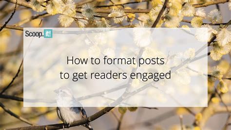 How To Format Posts To Get Readers Engaged Scoopit Blog