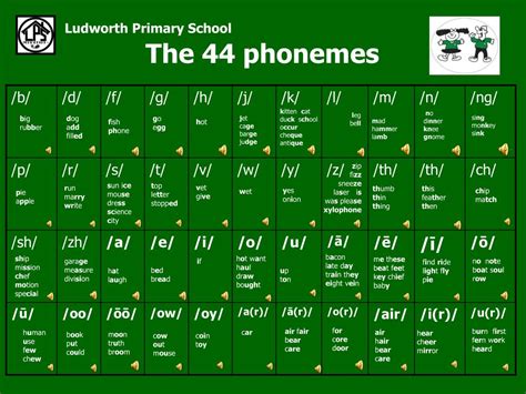 Ppt The 44 Phonemes Powerpoint Presentation Free Download Id5580627