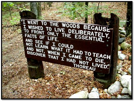 Happiness Thoreau Quotes Quotesgram