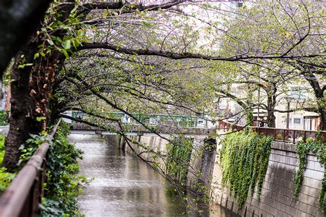 River Walks A Tour Of Tokyos Waterways Part 1 Japan Forward