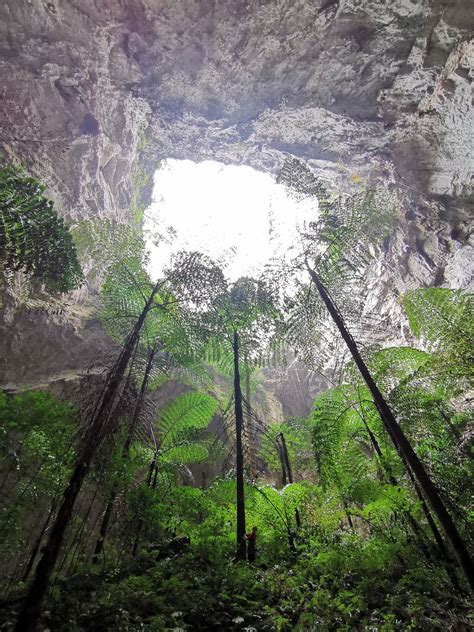 Large Tiankeng Group Discovered In South Chinas Guangxi Xinhua