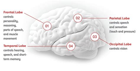 Stroke Location Impact Encompass Health Connect