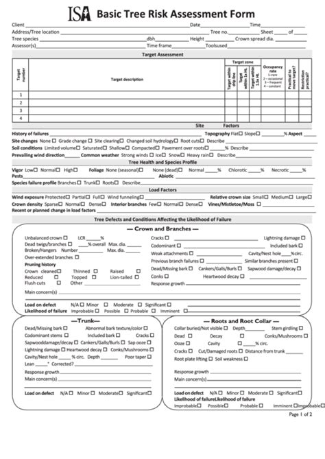 Fillable Basic Tree Risk Assessment Form Printable Pdf Download
