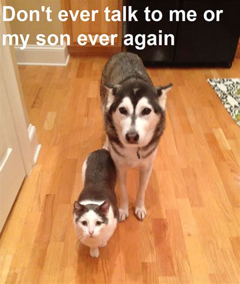 29 Dont Talk To Me Or My Son Ever Again Memes That Turn A Random
