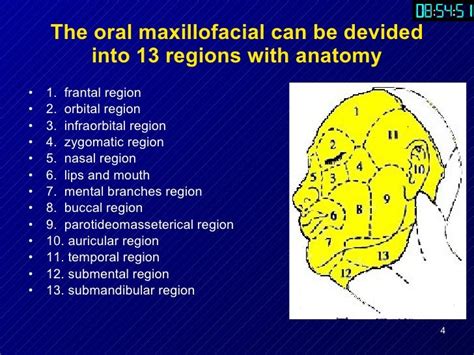 Part1anatomy