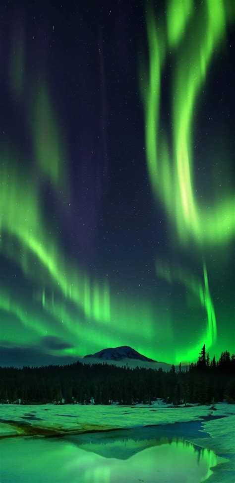 Aurora Borealis Snow Night Iphone Wallpaper Iphone